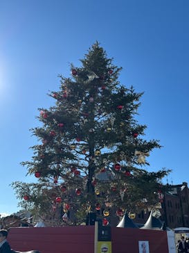 Christmas Market in 横浜赤レンガ倉庫 2025に投稿された画像（2024/12/15）
