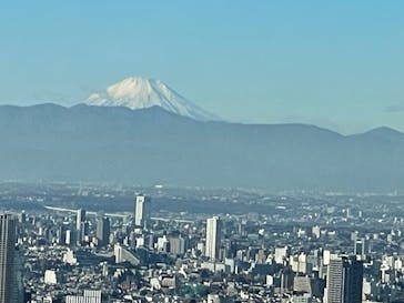 東京タワーに投稿された画像（2024/12/15）