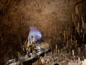 おきなわワールドに投稿された画像（2024/12/15）