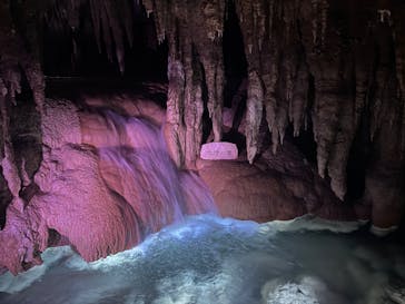 おきなわワールドに投稿された画像（2024/12/15）