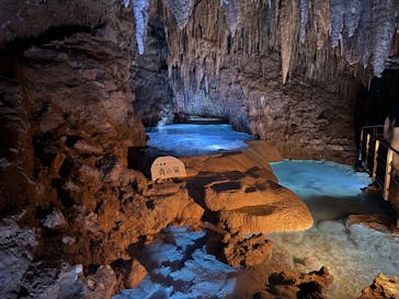 おきなわワールドに投稿された画像（2024/12/15）