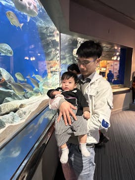 マリンワールド海の中道に投稿された画像（2024/12/15）