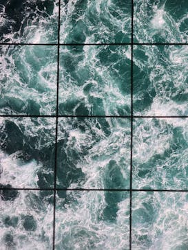 徳島県立 渦の道に投稿された画像（2024/12/15）