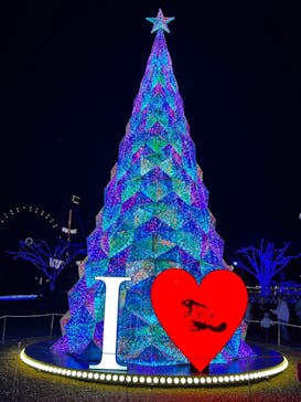 みろくの里に投稿された画像（2024/12/15）