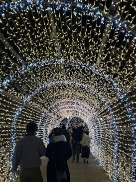 みろくの里に投稿された画像（2024/12/15）