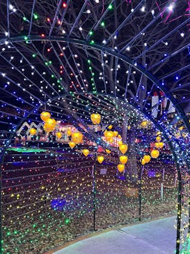 みろくの里に投稿された画像（2024/12/15）