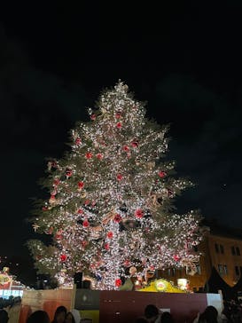 Christmas Market in 横浜赤レンガ倉庫 2025に投稿された画像（2024/12/15）