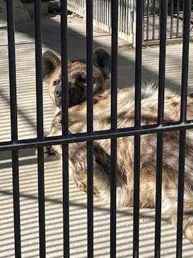 宇都宮動物園に投稿された画像（2024/12/15）