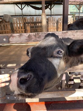 宇都宮動物園に投稿された画像（2024/12/15）
