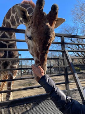 宇都宮動物園に投稿された画像（2024/12/15）