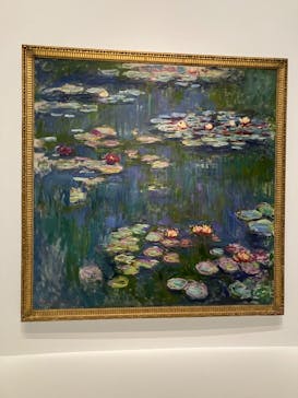 モネ 睡蓮のとき（国立西洋美術館）に投稿された画像（2024/12/15）