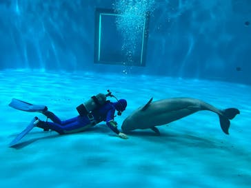 島根県立 しまね海洋館に投稿された画像（2024/12/15）