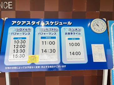 島根県立 しまね海洋館に投稿された画像（2024/12/15）