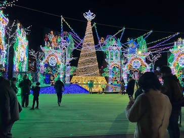 さがみ湖MORI MORIに投稿された画像（2024/12/15）