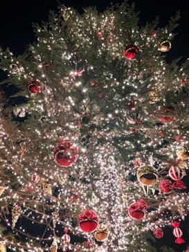 Christmas Market in 横浜赤レンガ倉庫 2025に投稿された画像（2024/12/15）