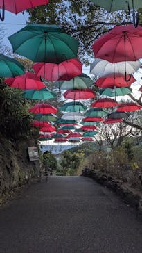 ニューヨークランプミュージアム＆フラワーガーデンに投稿された画像（2024/12/15）