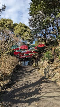 ニューヨークランプミュージアム＆フラワーガーデンに投稿された画像（2024/12/15）