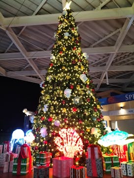 新江ノ島水族館に投稿された画像（2024/12/15）