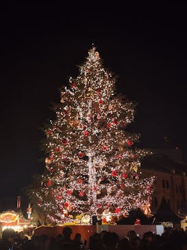 Christmas Market in 横浜赤レンガ倉庫 2025に投稿された画像（2024/12/15）