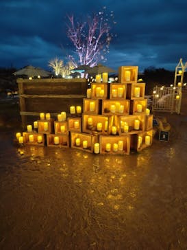 世羅高原農場に投稿された画像（2024/12/15）