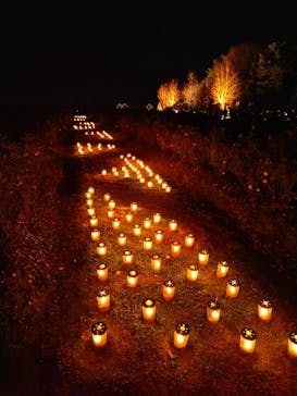 世羅高原農場に投稿された画像（2024/12/15）