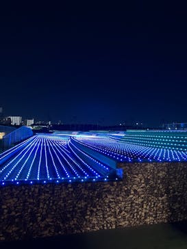 東京メガイルミに投稿された画像（2024/12/15）