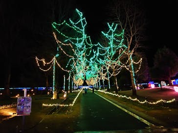 とっとり花回廊に投稿された画像（2024/12/15）