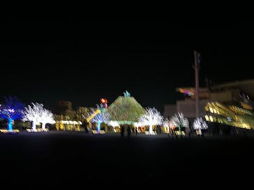 東京メガイルミに投稿された画像（2024/12/15）