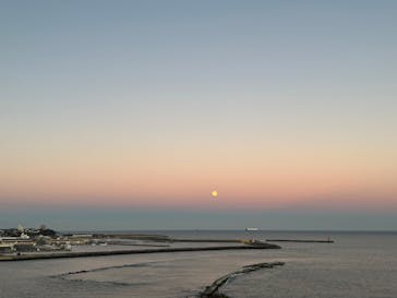 アクアワールド茨城県大洗水族館に投稿された画像（2024/12/15）