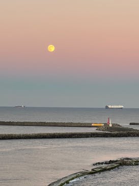 アクアワールド茨城県大洗水族館に投稿された画像（2024/12/15）