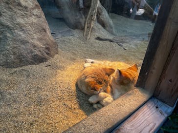 神戸どうぶつ王国に投稿された画像（2024/12/15）