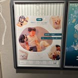 カワスイ 川崎⽔族館に投稿された画像（2024/12/15）