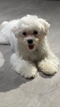 カワスイ 川崎⽔族館に投稿された画像（2024/12/15）