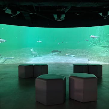 カワスイ 川崎⽔族館に投稿された画像（2024/12/15）