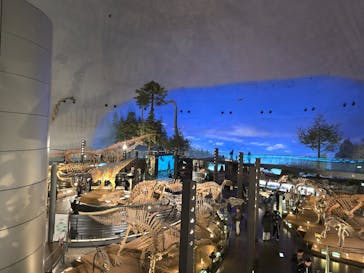 福井県立恐竜博物館に投稿された画像（2024/12/15）