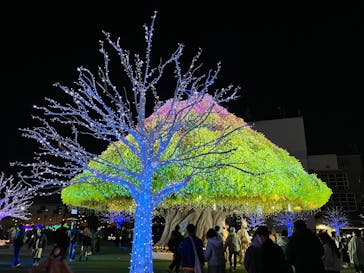 東京メガイルミに投稿された画像（2024/12/15）