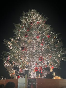 Christmas Market in 横浜赤レンガ倉庫 2025に投稿された画像（2024/12/15）