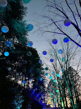 ムーミンバレーパークに投稿された画像（2024/12/15）