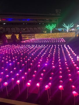 東京メガイルミに投稿された画像（2024/12/15）