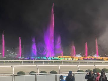 東京メガイルミに投稿された画像（2024/12/15）