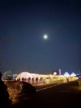 東京メガイルミに投稿された画像（2024/12/15）