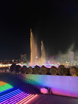 東京メガイルミに投稿された画像（2024/12/15）