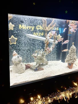 串本海中公園水族館に投稿された画像（2024/12/15）