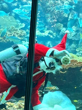 串本海中公園水族館に投稿された画像（2024/12/15）