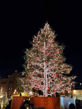 Christmas Market in 横浜赤レンガ倉庫 2025に投稿された画像（2024/12/15）