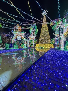 さがみ湖MORI MORIに投稿された画像（2024/12/15）