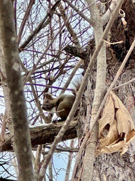 n.s rideに投稿された画像（2024/12/15）