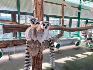 岩手サファリパークに投稿された画像（2024/12/15）