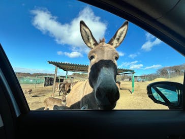 岩手サファリパークに投稿された画像（2024/12/15）