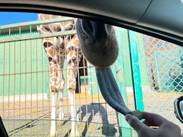 岩手サファリパークに投稿された画像（2024/12/15）